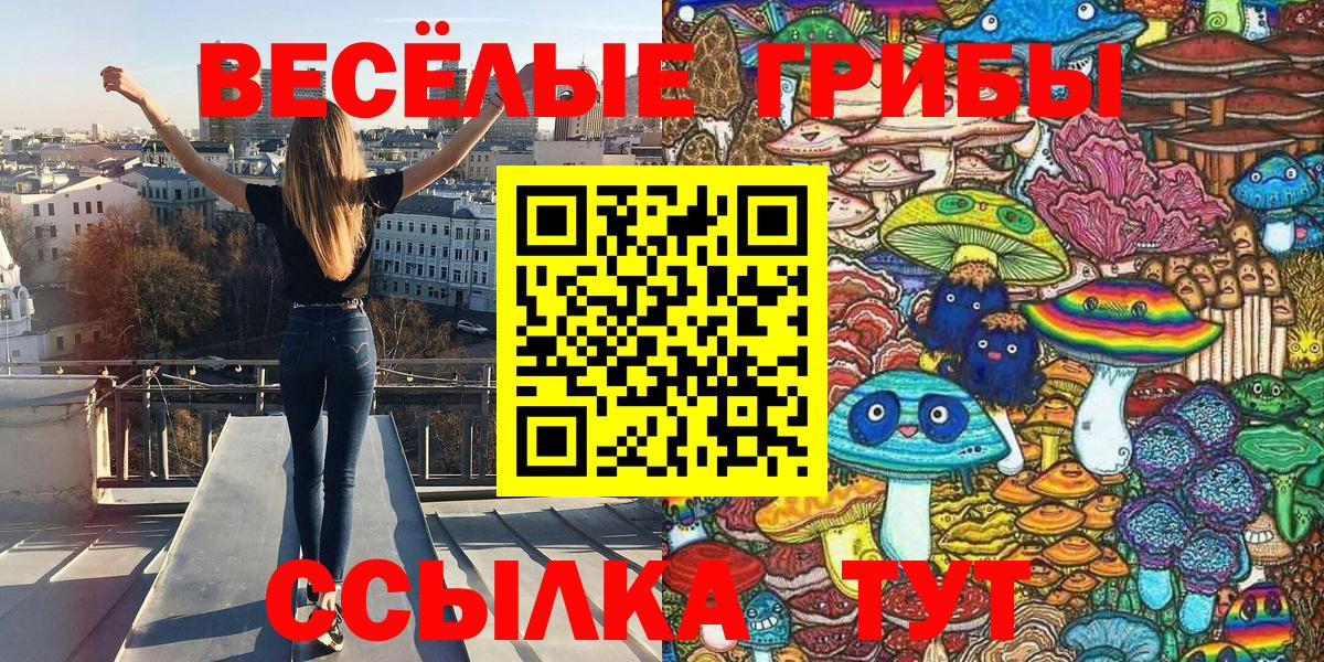 Галлюциногенные грибы Cubensis Тамбов